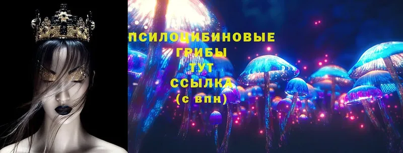 хочу   Котовск  Галлюциногенные грибы Magic Shrooms 